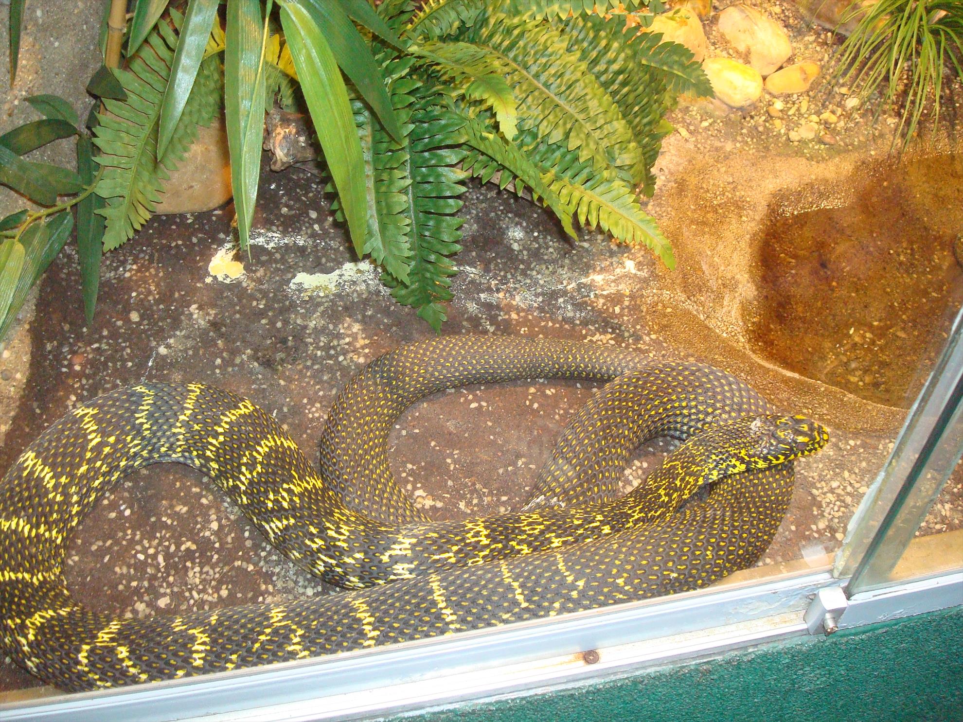 De pretutindeni - dsc04831.JPG